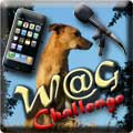 Wondershare Anything Goes Challenge